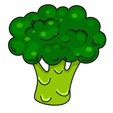 Arkaplan vektöründe brokoli ana hatlarının gösterilmesiName