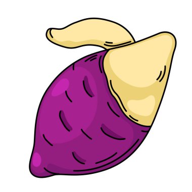 Arkaplan vektöründe yer elması çizimi beyaz