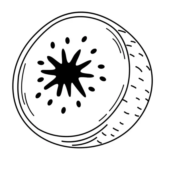 Απεικόνιση Του Χρωματιστού Λευκού Περιγράμματος Ακτινιδίου Στο Διάνυσμα Φόντου Διάνυσμα Αρχείου