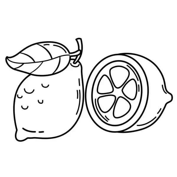 Illustration Färsk Citron Frukt Kontur Vit Bakgrund Vektor Royaltyfria Stockvektorer