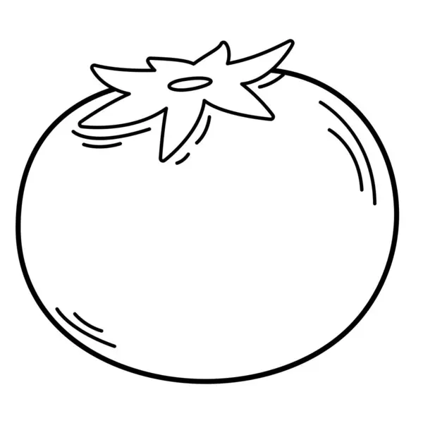 Απεικόνιση Πολύχρωμο Περίγραμμα Ντομάτας Λευκό Διάνυσμα Φόντου Διανυσματικά Γραφικά