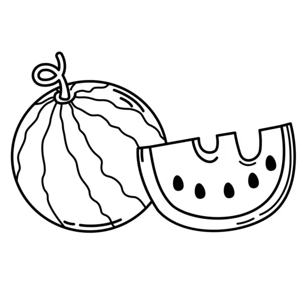 Illustratie Van Water Meloen Overzicht Wit Achtergrond Vector Vectorbeelden