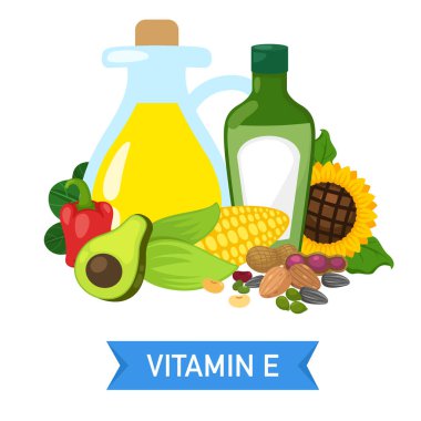 E vitamini yiyecek kaynakları vektör illüstrasyonu