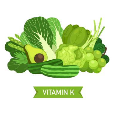 K vitamini yiyecek kaynakları vektör illüstrasyonu
