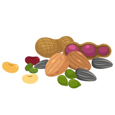 Cevizler üzerinde beyaz bir arkaplan çizimi