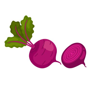 Beyaz arka planda pancar kökü çizimi