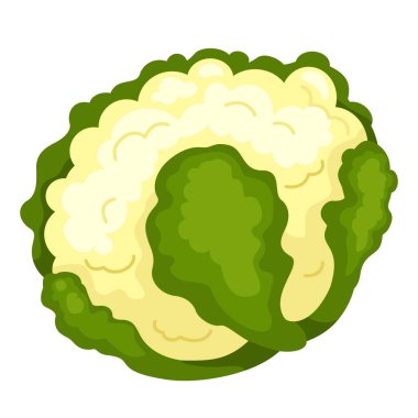 karnabahar beyaz zemin üzerinde gösterimi