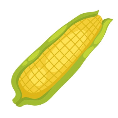 Beyaz arkaplanda mısırın çizimi