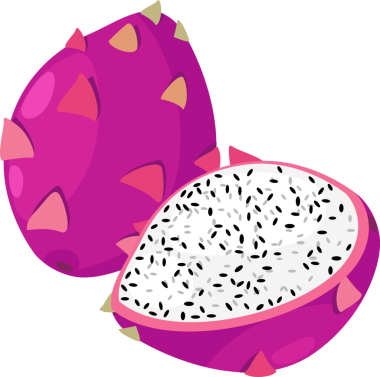 İzole edilmiş ejderha meyvesi çizimi