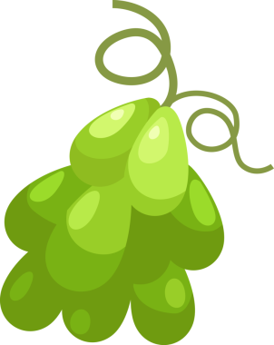 Bir demet yeşil üzüm.