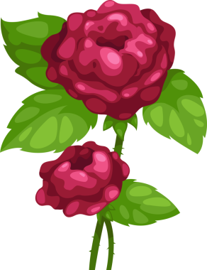 İzole gül şirinliğinin bir gösterimi