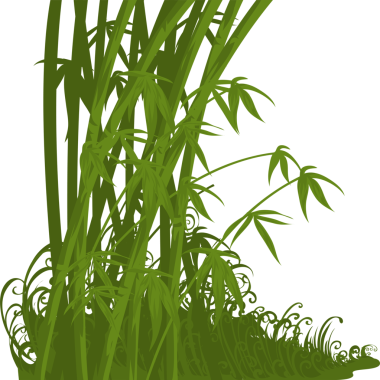 İzole edilmiş bambu çizimi