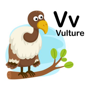 Karikatür kelime illüstrasyonlu V-Vulture harfi, vektör