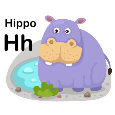 Harf H-Hippo karikatür kelime çizimi, vektör