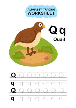 Resimlerde Ayrı Hayvanlar Alfabesi İz Tablosu Q-bıldırcın Harfi