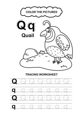 Görüntü Ayırıcı Hayvan Alfabesi İz ve Renk Harfi Q-Bıldırcın
