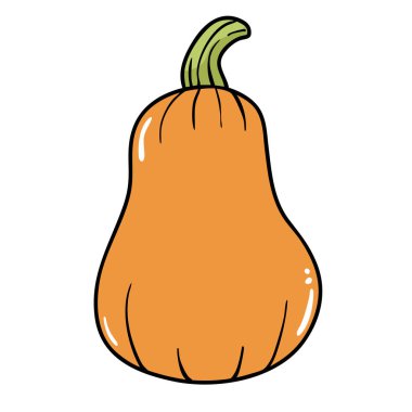 Balkabağı el çizimi taslak kavramı