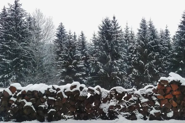 Noel mevsiminde karla kaplı ağaçlarla kaplı güzel kış manzarası