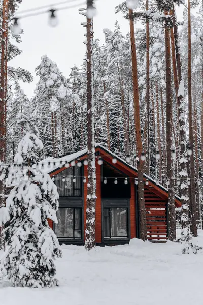 Bir kış mevsiminde bir ev ve noel ağacı. Karla kaplı bir arka planda.
