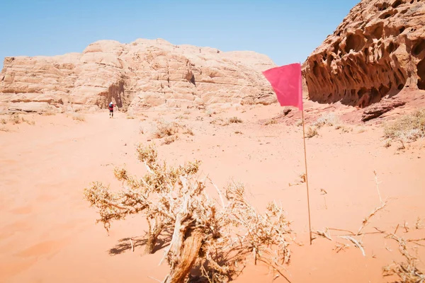 Wadi Rum Jordania Października 2022 Zawodnicy Sportowcy Szybko Chodzą Pustynnych — Zdjęcie stockowe