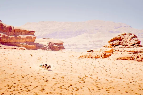 Grupa Wycieczek Turystycznych Karawanie Wielbłądów Pustyni Wadi Rum Malowniczymi Formacjami — Zdjęcie stockowe