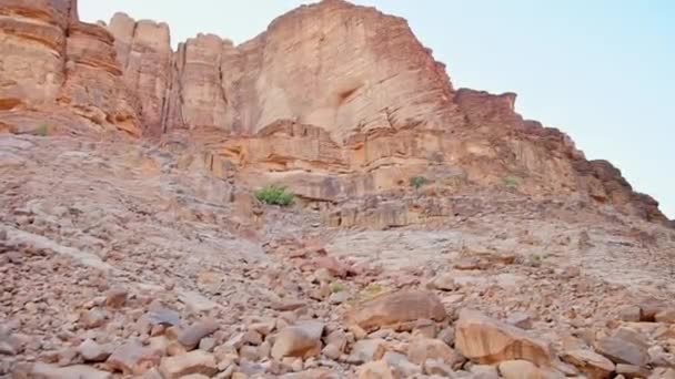 劳伦斯春天在约旦瓦迪朗姆酒自然保护区 沙漠中著名的旅游地标 — 图库视频影像