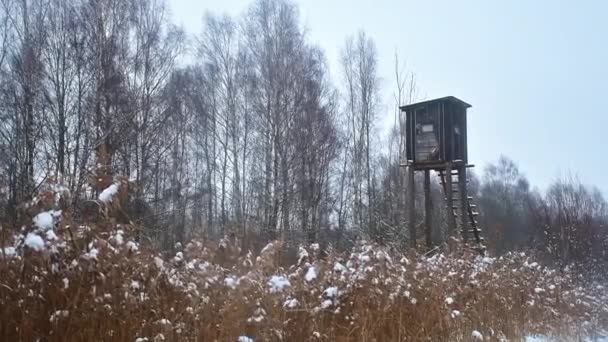 秋または冬の雪の条件下で冬にリトアニアの田舎の森の中で狩りのためのハンター木造キャビン — ストック動画
