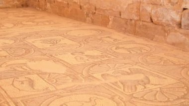 Petra, Ürdün - 7 Ekim 2022: Petra tarihindeki Bizans kilisesinde kuş mozaiği sanatı