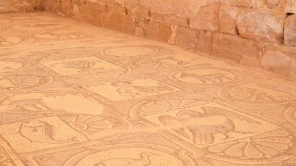 Petra Ürdün Ekim 2022 Petra Tarihindeki Bizans Kilisesinde Kuş Mozaiği — Stok video