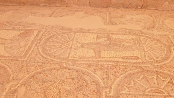 Petra Jordanien Oktober 2022 Tiere Mosaikkunst Byzantinischer Kirche Petra Historische — Stockvideo