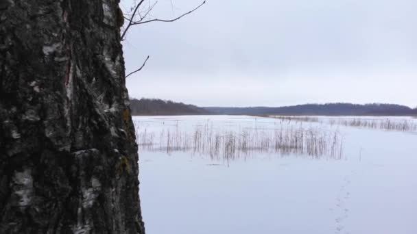 Beautiful Frozen Lake Panorama Fisherman Footsteps Ice Lake Fragile New — стоковое видео