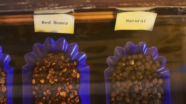 Red Honey Yellow Honey Natural Coffee Beans Museum Display Dubai — Stock Video