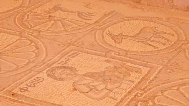 ヨルダンペトラ2022年10月7日 ペトラの歴史的遺跡のビザンチン教会の動物モザイクアート — ストック動画