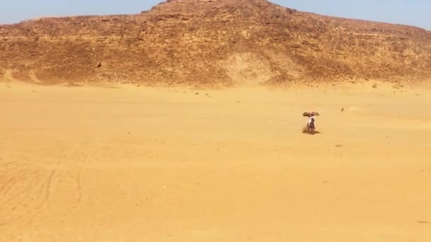 Wadi Rum Jordan 5Th October 2022 Jordanian Rider Ride Flag — Stock Video
