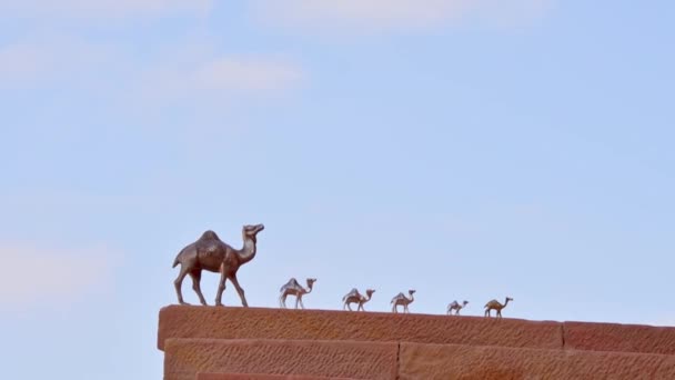 Petra Ürdün Ekim 2022 Çeşitli Büyüklükteki Deve Metali Figürleri Hediyelik — Stok video