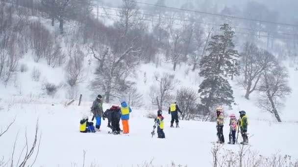 2022年3月15日 ジョージア州バクーリアニスキーアカデミーでスキーを学ぶ子供たちのグループ — ストック動画