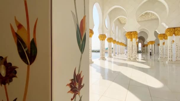 Abu Dhabi Zjednoczone Emiraty Arabskie Października 2022 Zbliżenie Kwiatów Kolumnach — Wideo stockowe