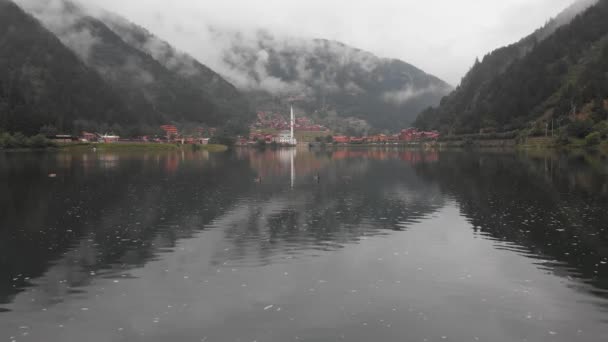 Zoom View Three Ducks Swim Lake Uzungol Village Panorama Misty — Vídeos de Stock