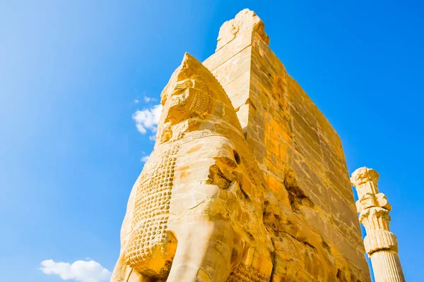 Персеполіс Іран 2022 Рік Статуя Коней Стародавньому Місті Персеполіс Іран — стокове фото