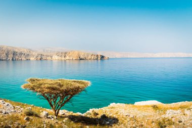 İran Körfezi 'ndeki güzel güneşli Umman manzarası turkuaz deniz suyu, Merillas adaları arka planı. Yürüyüş güzergahları ve bitkiler.
