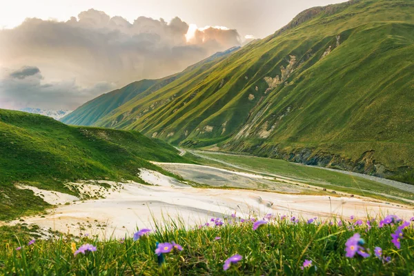 Yaz Aylarında Truso Vadisi Ndeki Doğal Anıtlar Kazbegi Ulusal Parkı — Stok fotoğraf