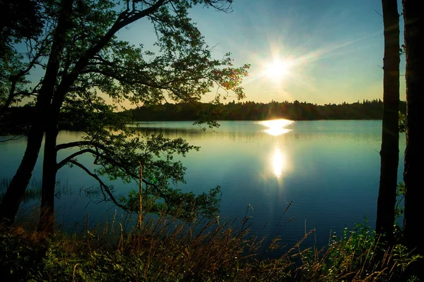 Драматичне Литовське Озеро Плателяй Світанку Блакитна Трава Озера Теплий Сонячний — стокове фото
