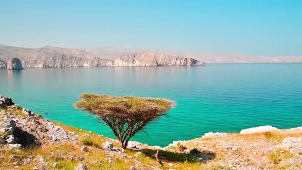 美丽的阳光明媚的干旱阿曼景观在亚洲海湾与绿松石海水 梅里利亚岛背景 远足路线及植物 — 图库视频影像
