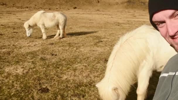 Turistický Film Selfie Zpomalit Krásným Bílým Ostružinovým Koněm Plotem Izolované — Stock video
