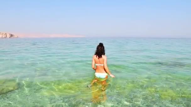 Back View Pretty Tourist Woman Stand Clear Turquoise Water Persian — Stock Video