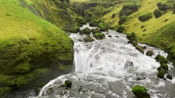 春にアイスランドで人気のスコガフォスの美しい川や滝 — ストック動画