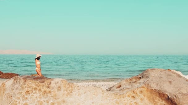 Bikinili Hava Manzaralı Turist Kadın Basra Körfezi Nde Beyaz Kumlu — Stok video