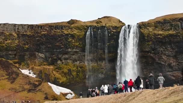 Seljalandsfoss Ісландія Марш 2023 Туристичні Групи Навесні Відвідують Водоспад Сельяландсфосс — стокове відео