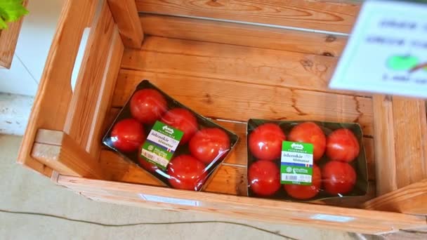 South Iceland 2Nd March 2023 Icelandic Red Tomato Pack Buy — Stock Video