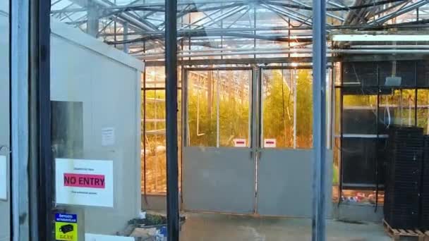 Sur Islandia Marzo 2023 Edificio Invernadero Tomate Desde Exterior Fridheimar — Vídeos de Stock